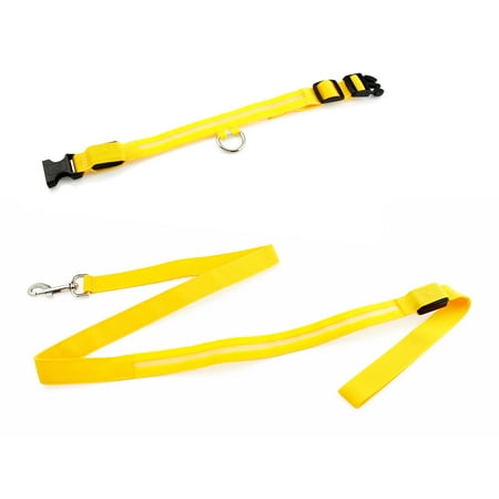 Medium LED Lights COLOR Light Up Pet Dog Night Safety Waterproof Nylon Neck Adjustable Collar + Leash Bundle