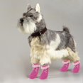 thumbnail image 2 of Mascota Perro Gato Zapatos Zapatillas Calcetines Non-Slip Patrón Pata Lazo Rosa Sunnimix Pink Bowknot Pet Dog Puppy Cat Zapatos Zapatillas No-Slip calcetines con pata impresiones Tamaño S, 2 of 8