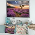 thumbnail image 3 of Designart 'Dramatic Clouds and Sunrise Over Lavender Field VIII' Farmhouse Framed Art Print, 3 of 4