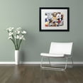 thumbnail image 3 of Trademark Fine Art 'Cozy Kittens' Canvas Art by Jenny Newland, White Matte, Black Frame, 3 of 4