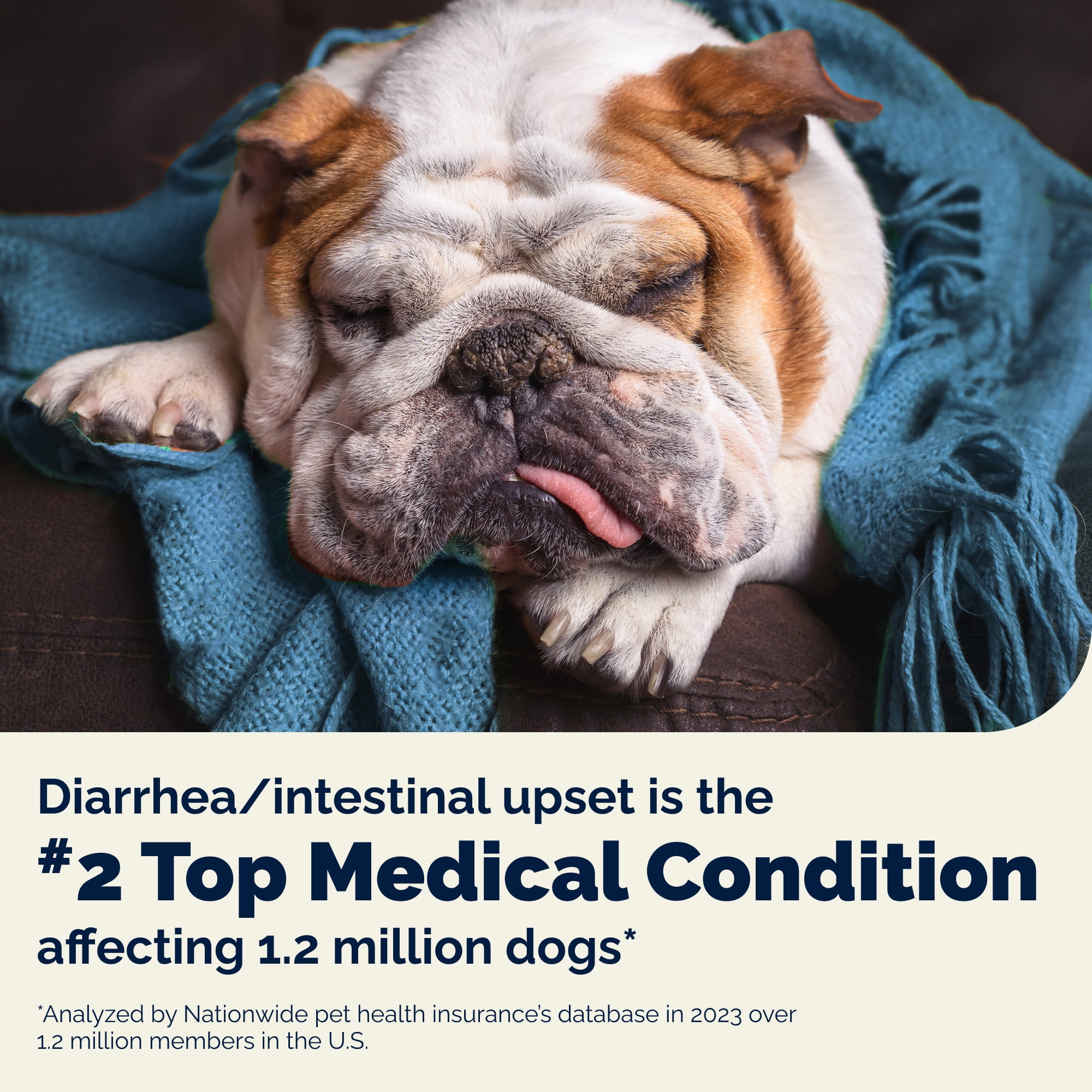 Glandex Rapid Digestive Support Chews for Dogs with Occasional Diarrhea, Chicken, 25ct.