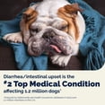 thumbnail image 3 of Glandex Rapid Digestive Support Chews for Dogs with Occasional Diarrhea, Chicken, 25ct., 3 of 9