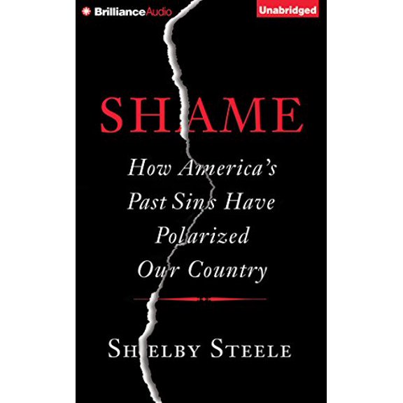 Pre-Owned Shame: How America's Past Sins Have Polarized Our Country