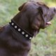 thumbnail image 4 of Collar de perro con remaches de cuero ancho y grueso. Apto para mástiles de 14" a 17", variedad media. MFZFUKR CPB-US-YY824-7, 4 of 5