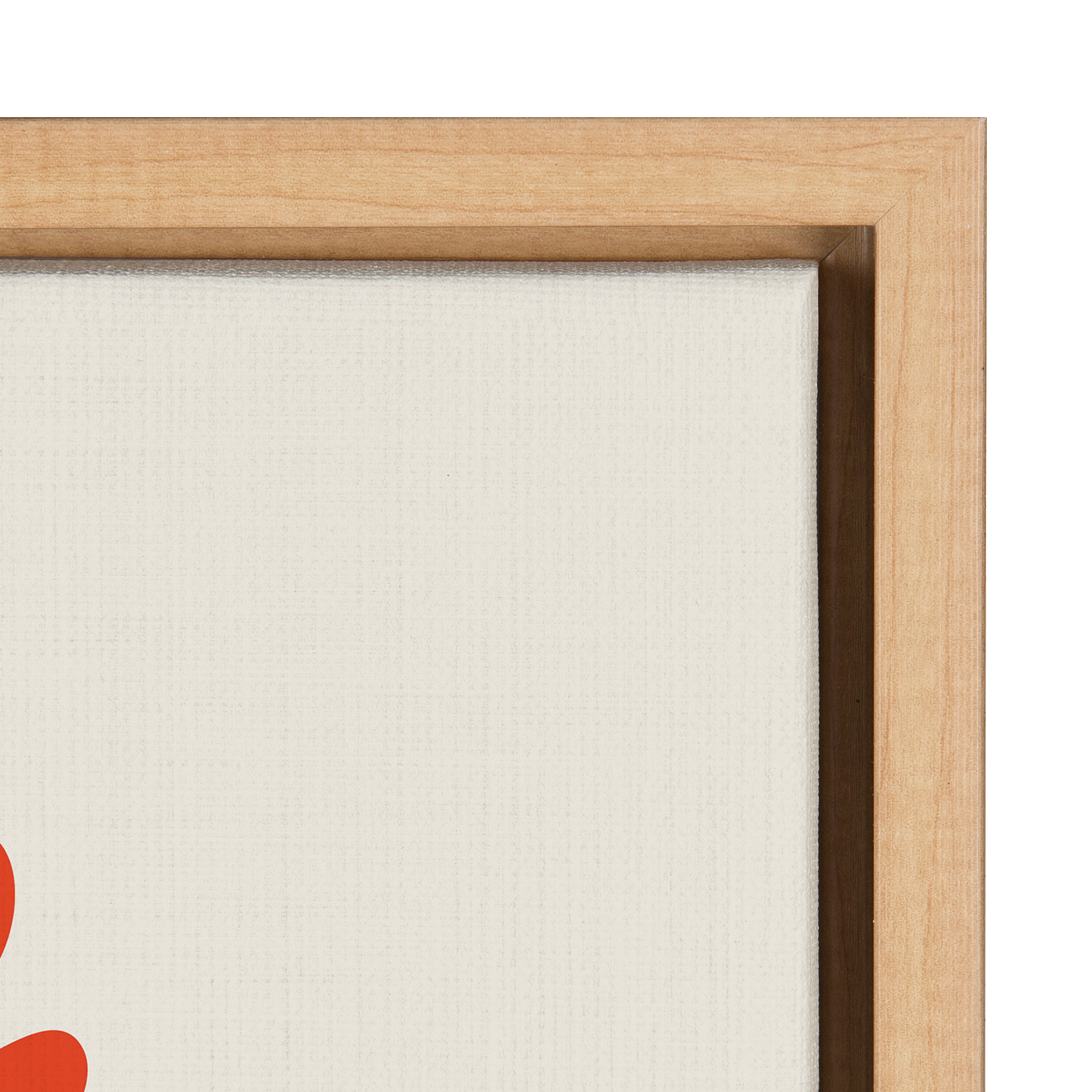 Kate and Laurel Sylvie Snail Framed Canvas Wall Art by Rachel Lee, 18x24 Natural, Abstract Wall Decor