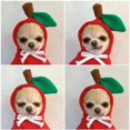 thumbnail image 4 of XL Ropa para mascotas Sudadera con capucha para perros - Ropa para clima frío con forma de fruta Traje para cachorros y gatos, 4 of 5