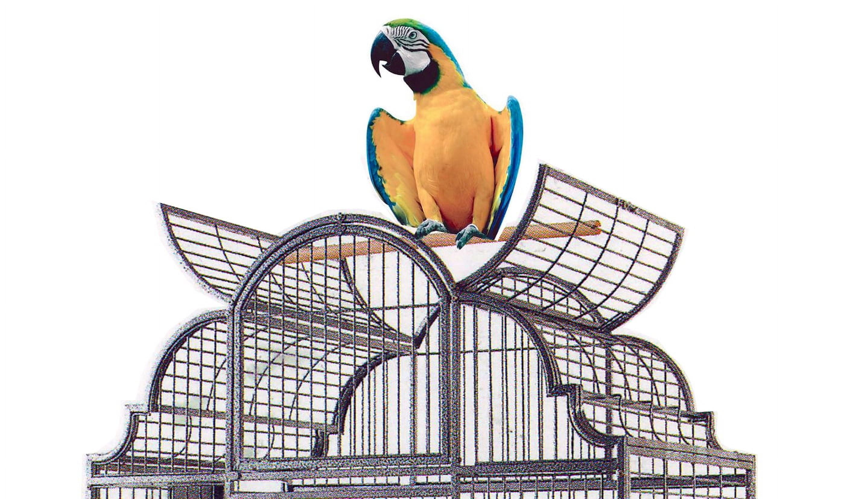 Large Elegant Stylish Wrought Iron Open/Close Play Top Perch Stand Bird Parrot Rolling Cage Include Stainless Steel Feeder Cups Metal Seed Guard Solid Metal Feeder Breeding Nest Doors
