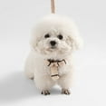 thumbnail image 2 of THE LICKER STORE Teddy Extra Small Bouclé Adjustable H Harness and Leash Walk Set with Poop Bag Pouch, Beige, WLK1000A-4SET, 2 of 8