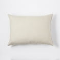 thumbnail image 4 of 2pk Big Lion Zig Zag Pillows, 4 of 4