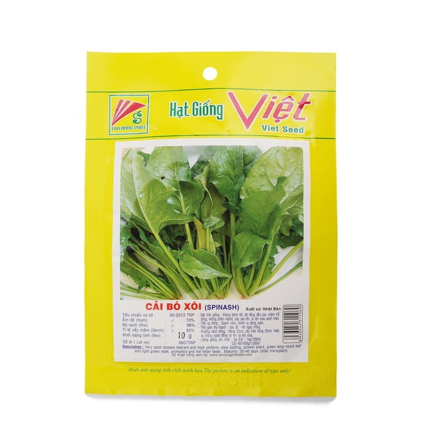 Spinach Seeds Collection Easy To Grow Heirloom Seeds Walmart Com Walmart Com