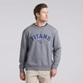 thumbnail image 4 of Men's Fanatics  Heather Gray Tennessee Titans Loop Terry Pullover Sweatshirt, 4 of 7