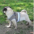 thumbnail image 3 of Cat Harness, Cat Harness Escape Proof Zekai, 3 of 5