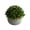 Green, variant on Artificial Flowers Fake Flowers with Ceramic Vase, Artificial Boxwood Faux Plant Indoor- Topiary Small Desk Plant Decor,for Home Table Office Room Desk Bathroom Shelf Kitchen Decoration(Purple)