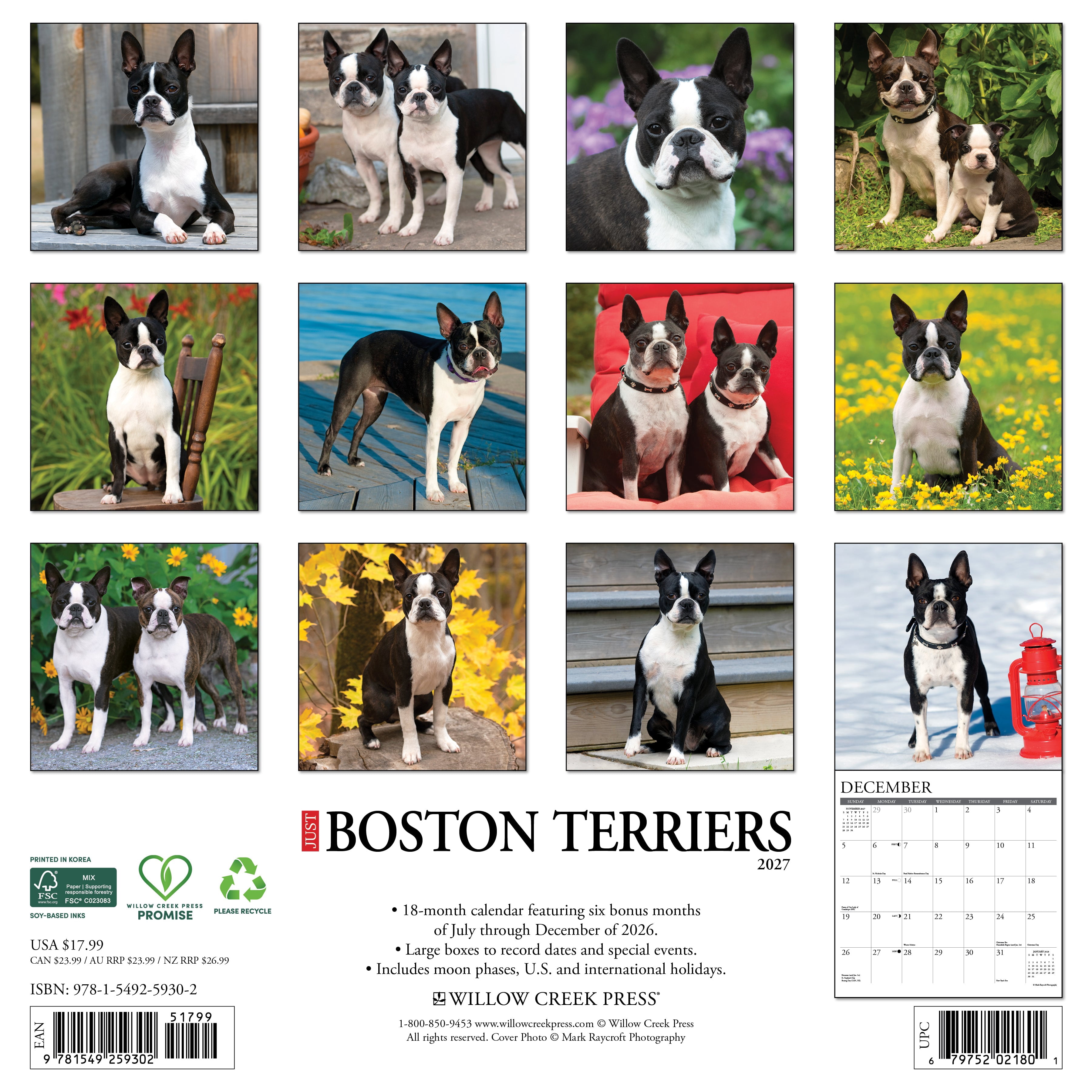 Willow Creek Press, Boston Terriers 2027 Wall Calendar