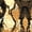 Snake Print, variant on Lars Amadeus Men's Animal Print Short Sleeves Casual Summer Printed Shirts