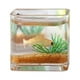 thumbnail image 2 of 2pcs 1:12 Miniature Dollhouse Fish Tank Avec Fish Dollhouse Décoration Hugo Tanque de acuario de casa de muñecas, 2 of 9