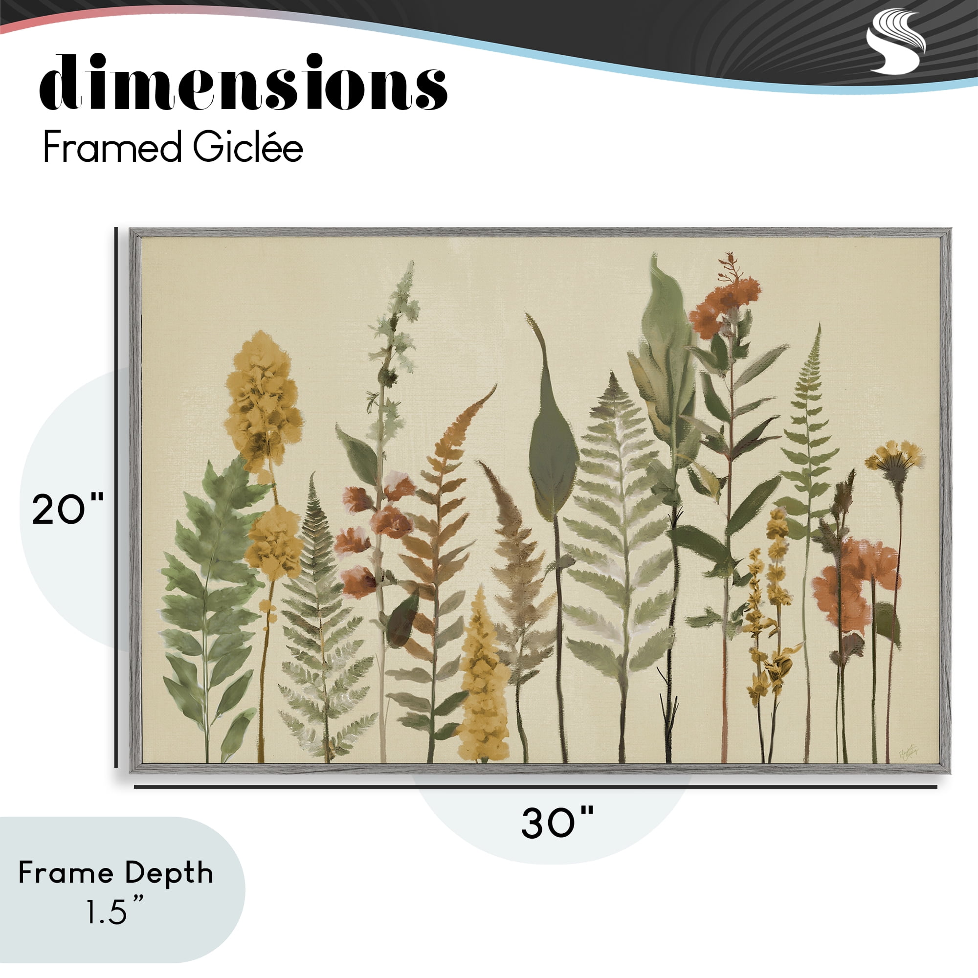 Stupell Industries Fall Toned Botanics Gray Framed Giclee Art, design by Elizabeth Medley