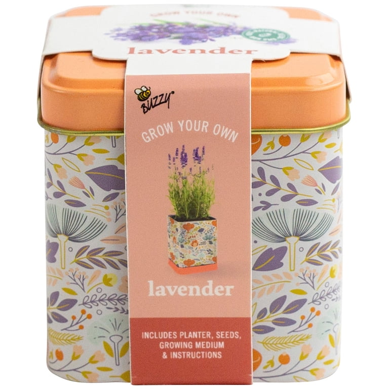Buzzy Lavender Herb Grow Kit With Decorative Floral Tin Item 97205