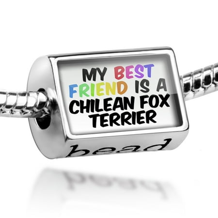 Bead My best Friend a Chilean Fox Terrier Dog from Chile Charm Fits All European