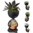 thumbnail image 4 of Zen Harmony Planter - Live Plants in a Decorative Pot - Cactus Succulent Air Plant - A Symbol of Serenity and Natural Beauty, 4 of 5