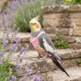 thumbnail image 6 of OCCOA Conure Flight Suit Bird Diaper with Poop Pocket for Budgie Cockatiel Peachface Parakeet Outdoor Clothes, Pink, 6 of 6