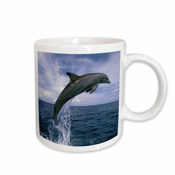 3drose, Honduras. Bottlenose Dolphin - Sa12 Swe0053 - Stuart Westmorland, 15oz Mug