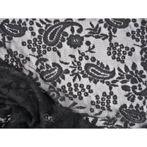 Embroidered Stretch Lace Apparel Fabric Sheer Paisley Black GG301