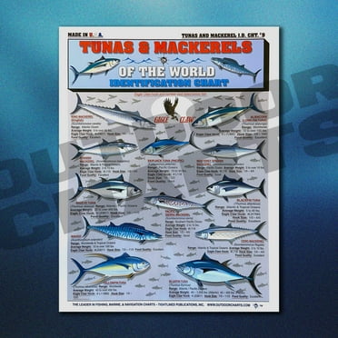 Tunas  Mackerels of the World Identification Chart #9