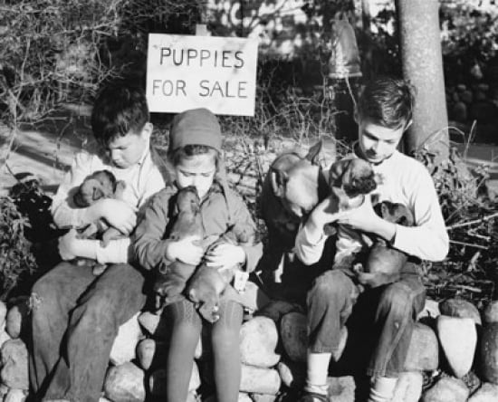 Three Children With
