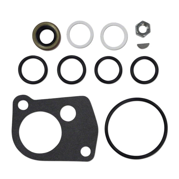 11-pc. Thompson Hydraulic Pump Gasket, O-Ring & Seal Kit Fits International Tractor 368634R91