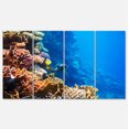 thumbnail image 2 of Beautiful Coral Fish of Red Sea - Seashore Canvas Art Print, 2 of 3