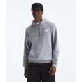 thumbnail image 2 of Buzo con capucha The North Face Evolution Box NSE, gris pálido, talle S, 2 of 3
