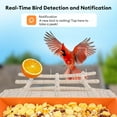 thumbnail image 2 of Smart Bird Feeder with Camera Solar Powered, Squirrel-Proof, 2K Full-Color Night Vision Camera, Ideal Gift for Bird Lovers, 2 of 7