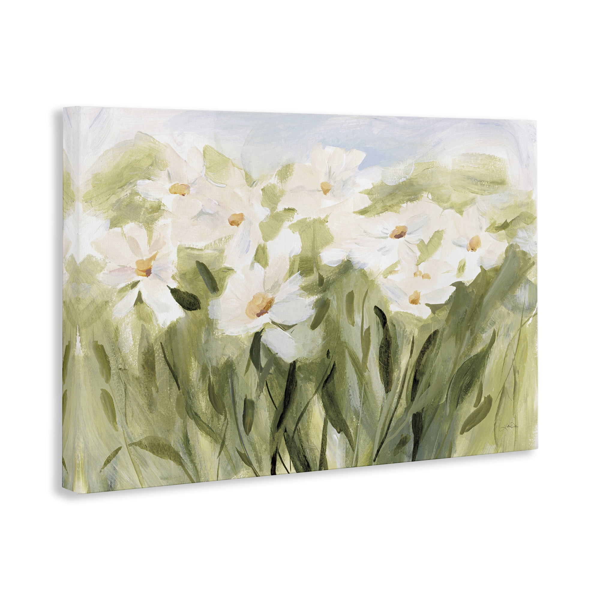 Stupell Industries Daisy Meadow View Botanical & Floral Painting Gallery Wrapped Canvas Art Print Wall Art, 36 x 24