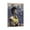 Frame-style, variant on American Jazz Singer Sarah Vaughan Retro Poster Wall Art Poster Gifts Bedroom Prints Home Decor Hanging Picture Canvas Painting Posters 12x18inch(30x45cm)