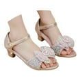 thumbnail image 2 of UngA Kids Sandals Girls Princess Girl Sandals Summer Strap Closed Toe Sandals Flats for Girls Toddler and Little Kid Girls Dance Shoes(Pink,Size 1), 2 of 8