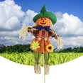 thumbnail image 5 of Farfi Scarecrow Decor Attractive Colorful with Bucket Halloween Adorable Scarecrow for Garden, 5 of 13