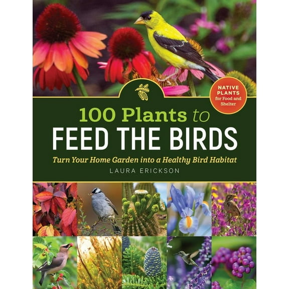 100 Plants to Feed the Birds: Turn Your Home Garden into a Healthy Bird Habitat (Paperback)