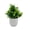 Round pot of Luo Han Cao, variant on Artificial Green Plant Pot Milan Leaf Decor for Home Bookshelf