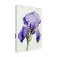 thumbnail image 2 of Jennifer Paxton Parker 'Iris in Bloom I' Canvas Art, 2 of 4