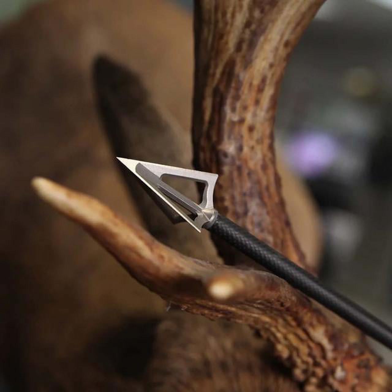 G5 Outdoors Montec 100-Grain 3 Count per Pack Broadhead