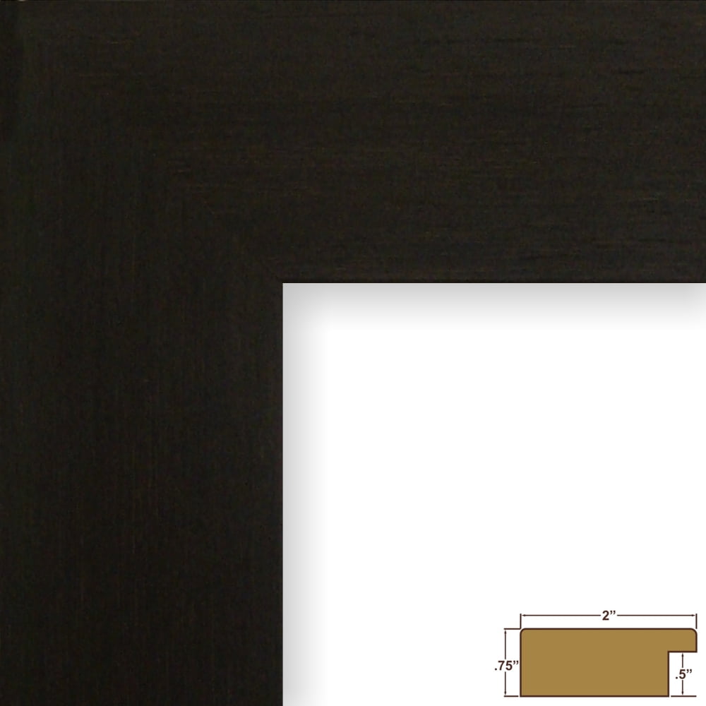 Craig Frames Bauhaus 200, 18x24 inch Black Coffee Picture Frame Matted for a 12x18 Photo