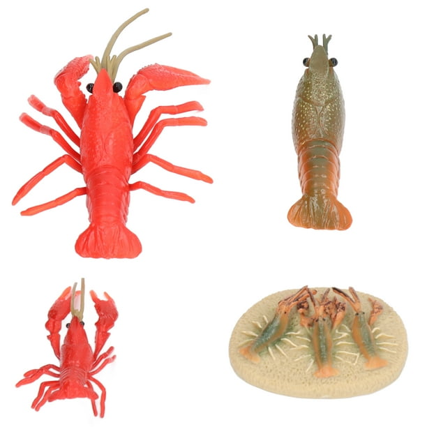 Fyydes Lobster Growth Cycle Model, Growth Cycle Model Plastic Vivid Durable Cute For Kids Education Toy For Home Decoration