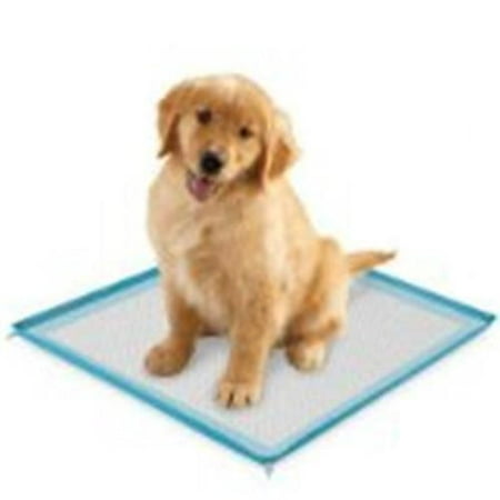 UPC 721343535515 ClearQuest US5355 19 Silicone Puppy Pad Holder Blue upcitemdb