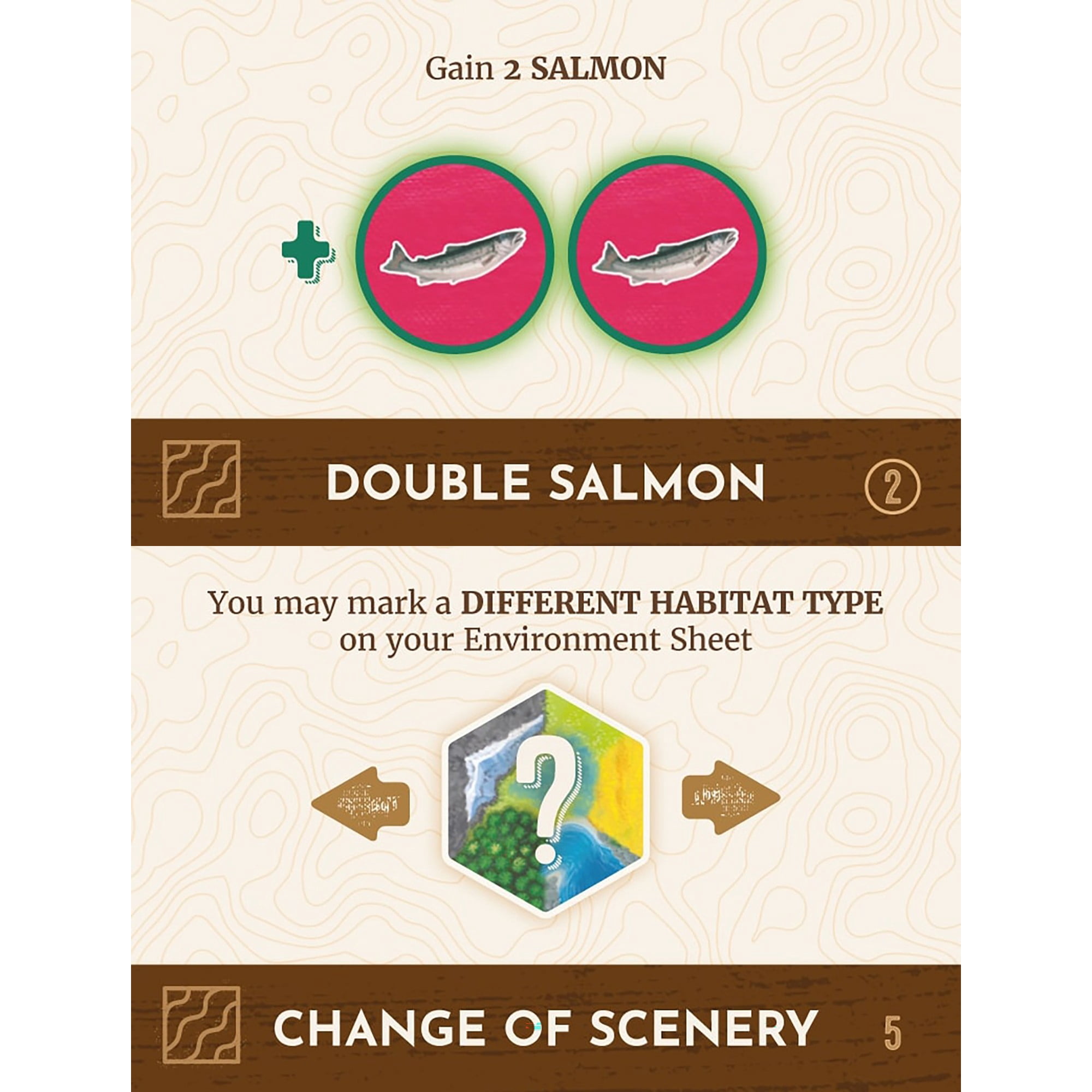 AEG: Cascadia: Rolling Rivers - Puzzly Flip-Roll-Write Board Game, Build Ecosystems, Explore PNW Nature & Wildlife, Ages 10+, 1-4 Players, 30 Mins