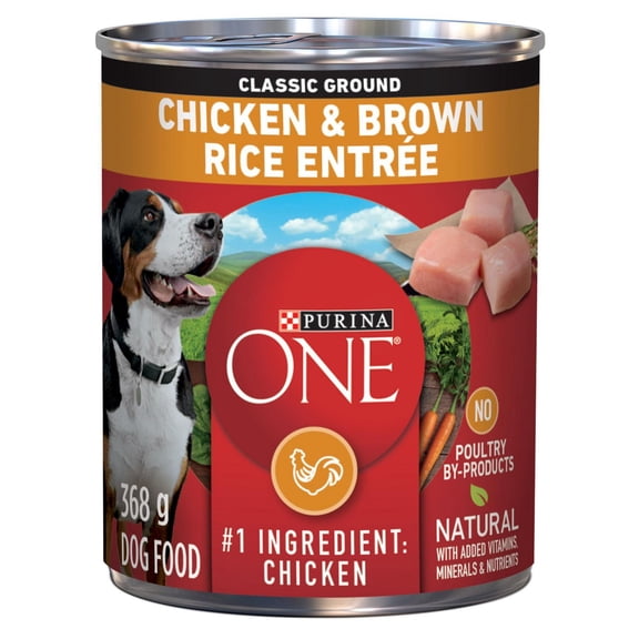 Purina ONE Classic Ground Chicken & Brown Rice Entrée, Wet Dog Food 368 g