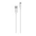 Samsung USB-C to USB-A Sync and Transfer Cable, 1 Meter