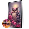 thumbnail image 2 of Diamante pintura 5D DIY completo redondo taladro búho Kit decoración del hogar arte artesanía Hugtrwg Para estrenar, 2 of 9