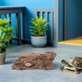 thumbnail image 4 of BESTYASH Para Con Resina Duradera Y Natural Para Hábitats De Reptiles, 4 of 6