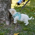 thumbnail image 3 of IFANLANDOR 1Pcs Polyester Black Dog Leash For Medium Dogs Hands Free Pet Leash, 3 of 8